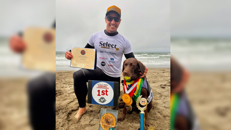 Perro labrador se ‘corona’ como el ‘Rey de las Olas’ en competencia de surf en California_ FOTOS.jpg