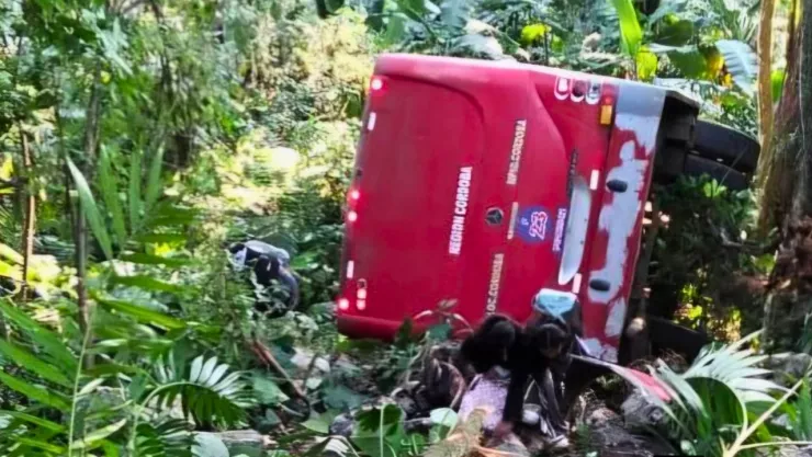 La unidad presentó falla mecánica y se volcó en una curva rumbo a Naranjal, Veracruz
