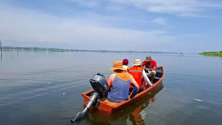 Mortandad de peces en Acapulco; acuacultores exigen respuestas