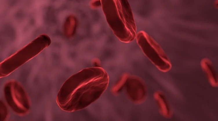 sangre a covid 19.jpg