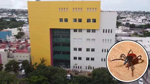 Rickettsia- Hospital Pediátrico de Sinaloa