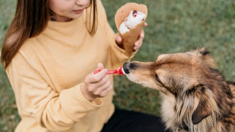 Perro comiendo nieve de cono