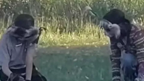 FOTOS | Captan a los primeros Therians en Guadalajara: Así fueron vistos en el Parque de la Solidaridad