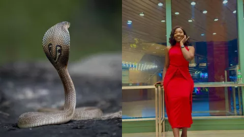 Ifunanya Nwangene muere tras ser mordida