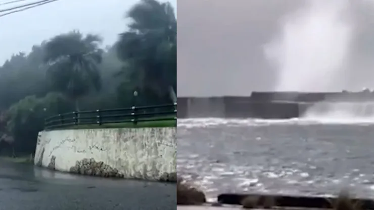 JAPÓN