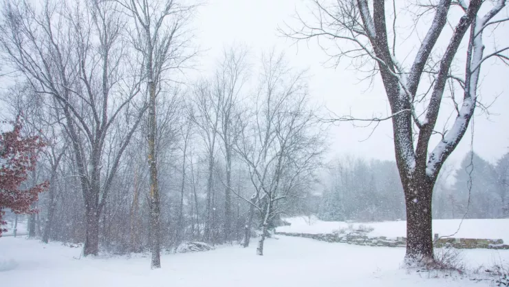 Nieve en Baja California