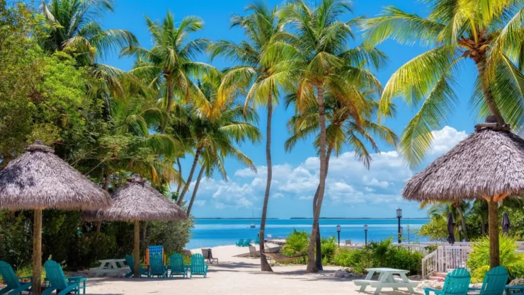 Palmeras y sombrillas en la playa de la estación de esquí tropical Key Largo, en Florida.