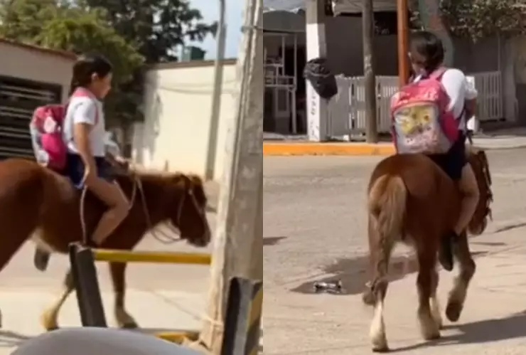 Niña va a la escuela cabalgando un pony, en Guasave