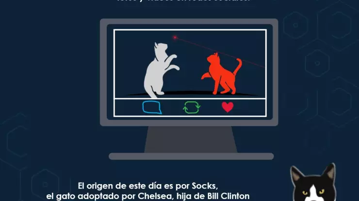 dia internacional del gato cuándo es