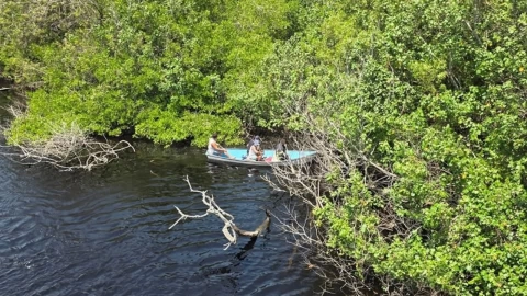 Realizan-búsqueda-del-cuerpo-del-menor-tras-ataque-de-cocodrilos-en-Michoacán