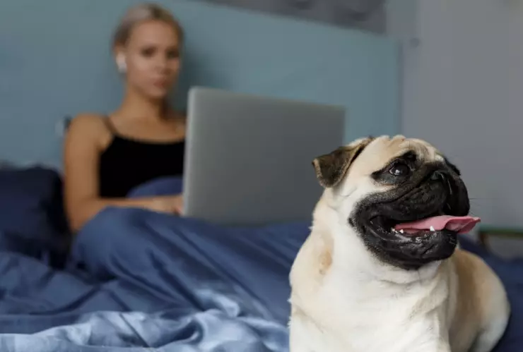 ¿Por qué mi perro saca tanto la lengua? Las razones