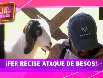 Fernando Lozada recibe besos por parte de las chivas
