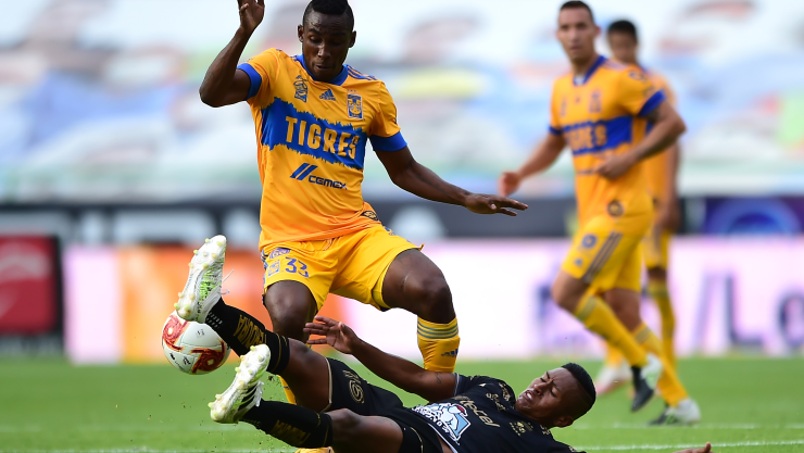 Leon Tigres