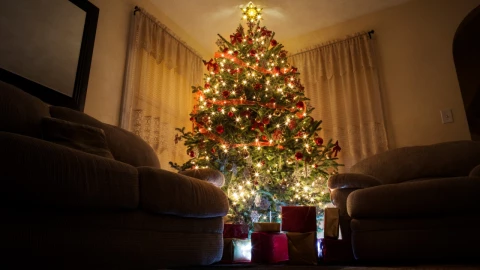 ¿Cuándo se pone el árbol de Navidad en 2024? La fecha se acerca