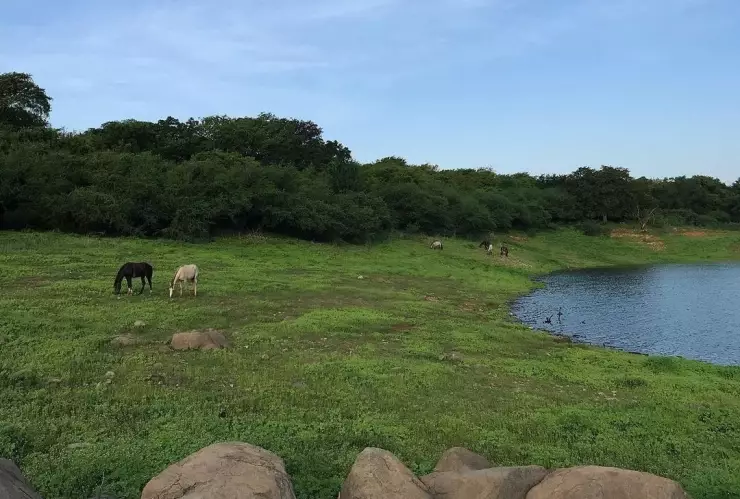 Podrás visitar Narnia desde Culiacán a partir del 2022