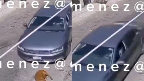 ¡Sin importarle! Captan a mujer atropellando y matando a un perro afuera de su casa en CDMX