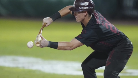 Algodoneros de Unión Laguna Pericos de Puebla LMB