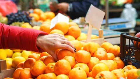 Feria de la naranja Montemorelos 2024