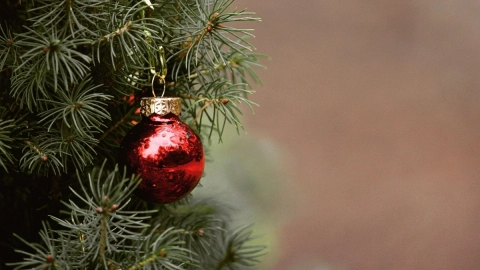jovenes-marihuana-arbol-de-navidad