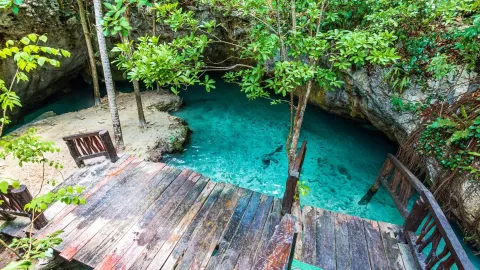 Los cenotes de Tulum brillan con agua cristalina y selva pura, un paraíso para nadar y desconectar.