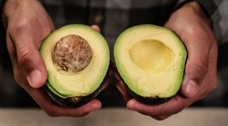 Precio del aguacate hoy 1 de febrero 2026: El costo de un kilo en CDMX y otras regiones de México