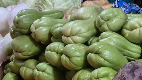 Precio del chayote en Yucatán llega hasta los 140 pesos el kilogramo