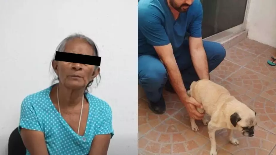 detienen-a-mujer-que-lanzo-a-un-perrito-en-tuxtla-gutierrez-chiapas-acusada-maltrato-animal