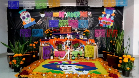 basura día de muertos medio ambiente