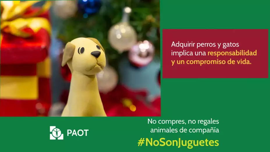 Animales no son juguetes.