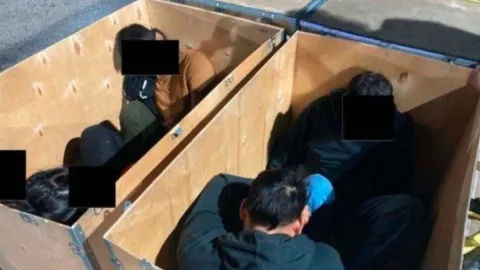 Llevaban a migrantes en cajas de cartón, desmantelan red de tráfico.