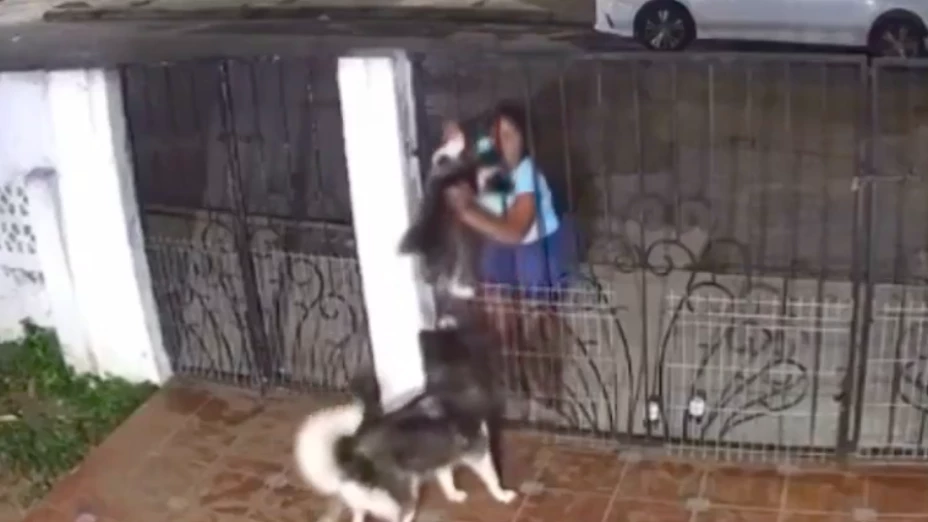 Captura de Pantalla 2025-01-04 a la(s) 12.10.08.png