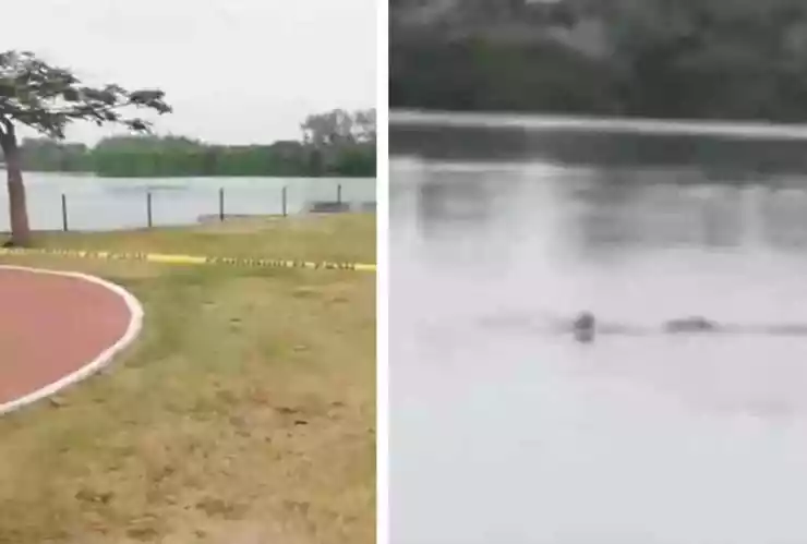 cocodrilo-ataca-hombre-laguna- (1).jpg