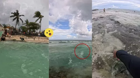 OJO DE AGUA EN PLAYA DEL CARMEN