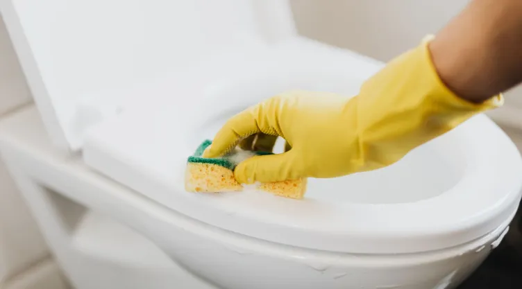 ¿Cómo blanquear una taza de baño? Hazlo en 10 minutos con este truco