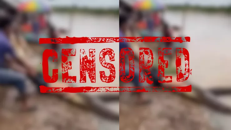 VIDEO | Captan momento en que anaconda intenta devorar a un hombre