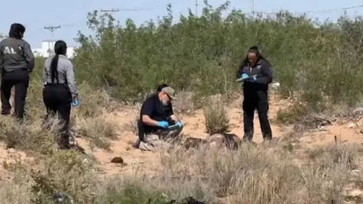 mujer fue localizada sin vida