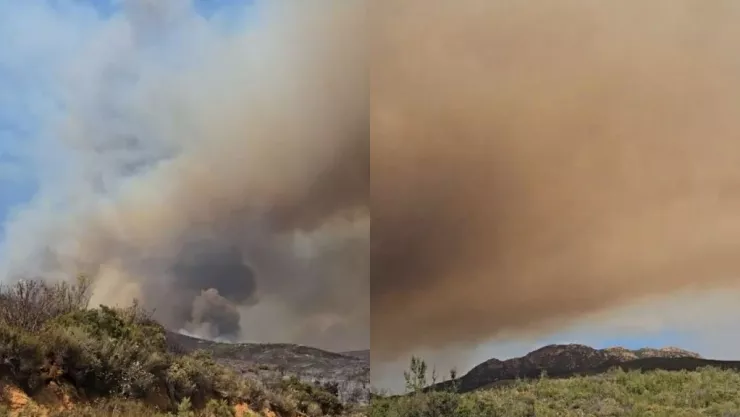 Incendio Valle de Guadalupe