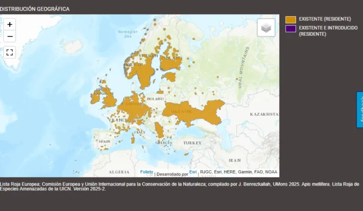 mapa de abejas silvestres