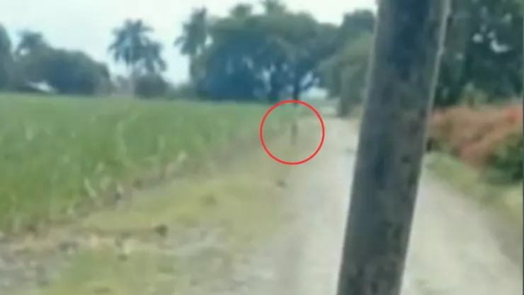 Graban a duende en Colombia