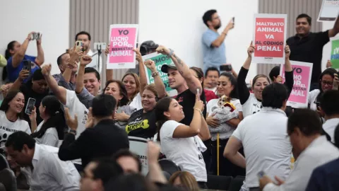 Una multitud diversa, principalmente adultos, en un espacio interior, levanta sus manos y varios carteles. Algunos sostienen teléfonos para grabar el evento, y una mujer en el lado derecho de la imagen sostiene un perro pequeño envuelto en una manta. Los carteles que se pueden leer dicen “YO LUCHO POR EL BIENESTAR ANIMAL” y “MALTRATO ANIMAL VA AL CÓDIGO PENAL”, reflejando un ambiente de activismo o protesta.