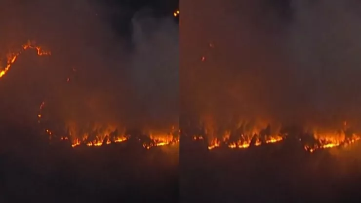 Incendio forestal en Japón ¿Cómo se encuentra hoy sábado 1 de marzo de 2025? (VIDEO)