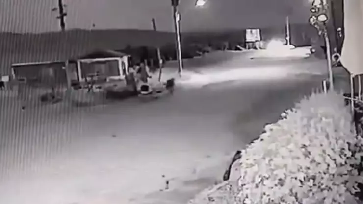 Perro se transforma en humano y las cámaras GRABAN el momento