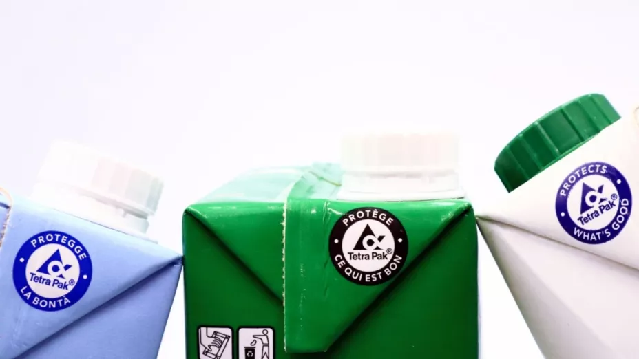 Envases_Walter Cicchetti.jpg