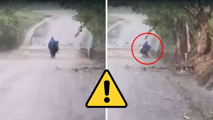 Las lluvias intensas provocaron corrientes peligrosas en caminos de San Andrés Tuxtla