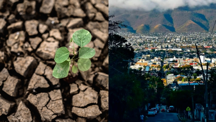Tres municipios presentan sequía severa en Chiapas: CONAGUA