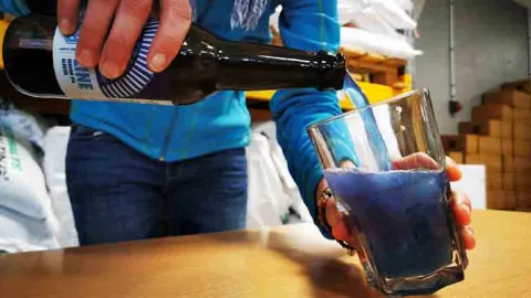 Cerveza azul alga 1.jpg