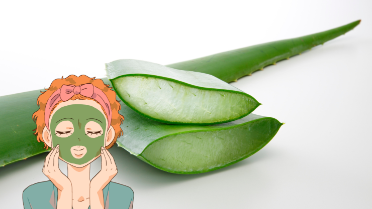 aloe vera.png