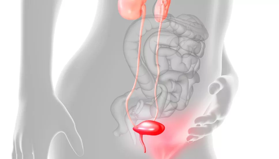infección en vías urinarias 2025 en México