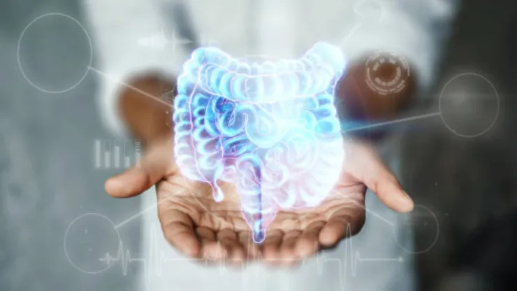 cientificos-descubren-como-el-intestino-influye-en-la-perdida-memoria-el-envejecimiento