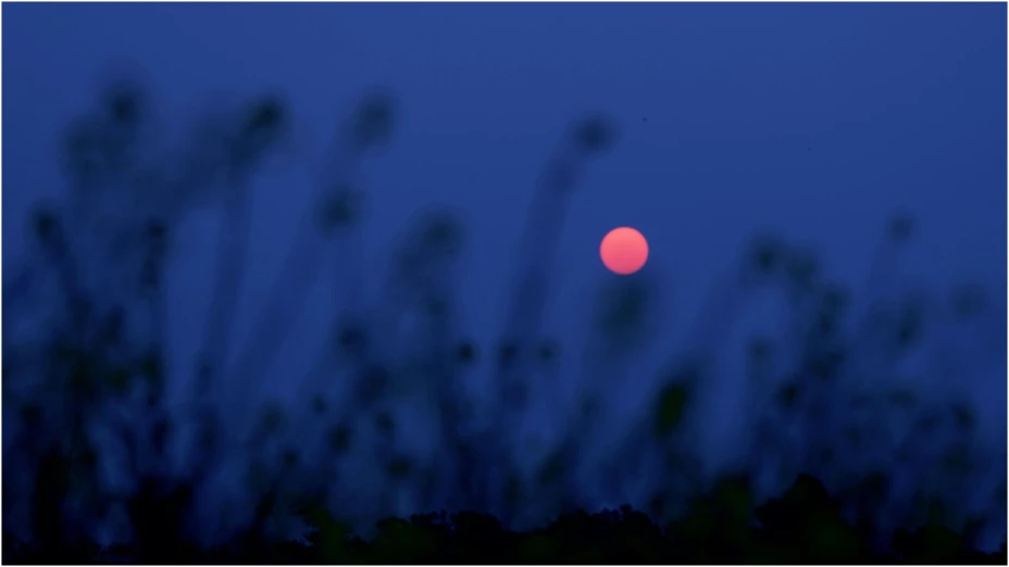 ¿Cómo ver la Luna de Fresa 2024 desde Aguascalientes y cuál es su significado